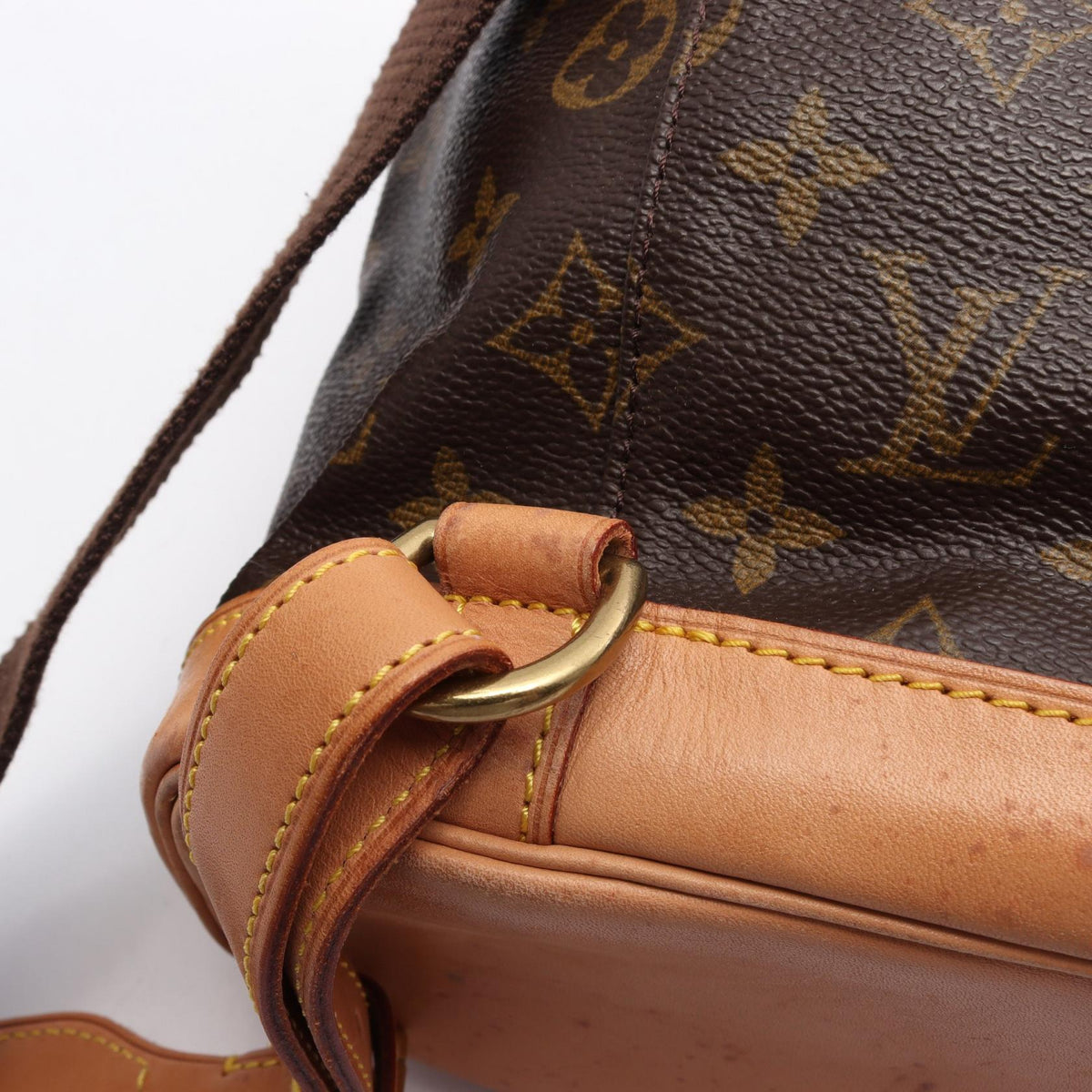 Louis Vuitton Montsouris GM · Monogram Canvas