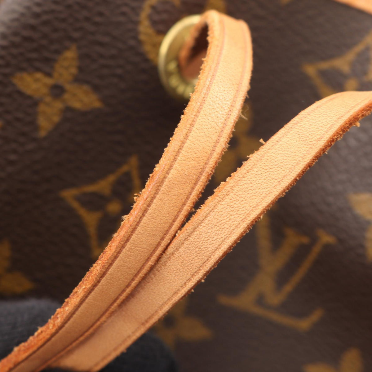 Louis Vuitton Montsouris GM · Monogram