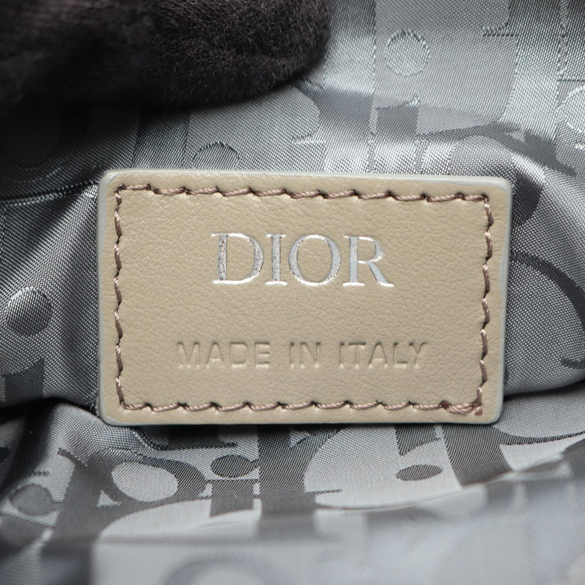 Dior Saddle · Waist Bag · Nylon & Leather