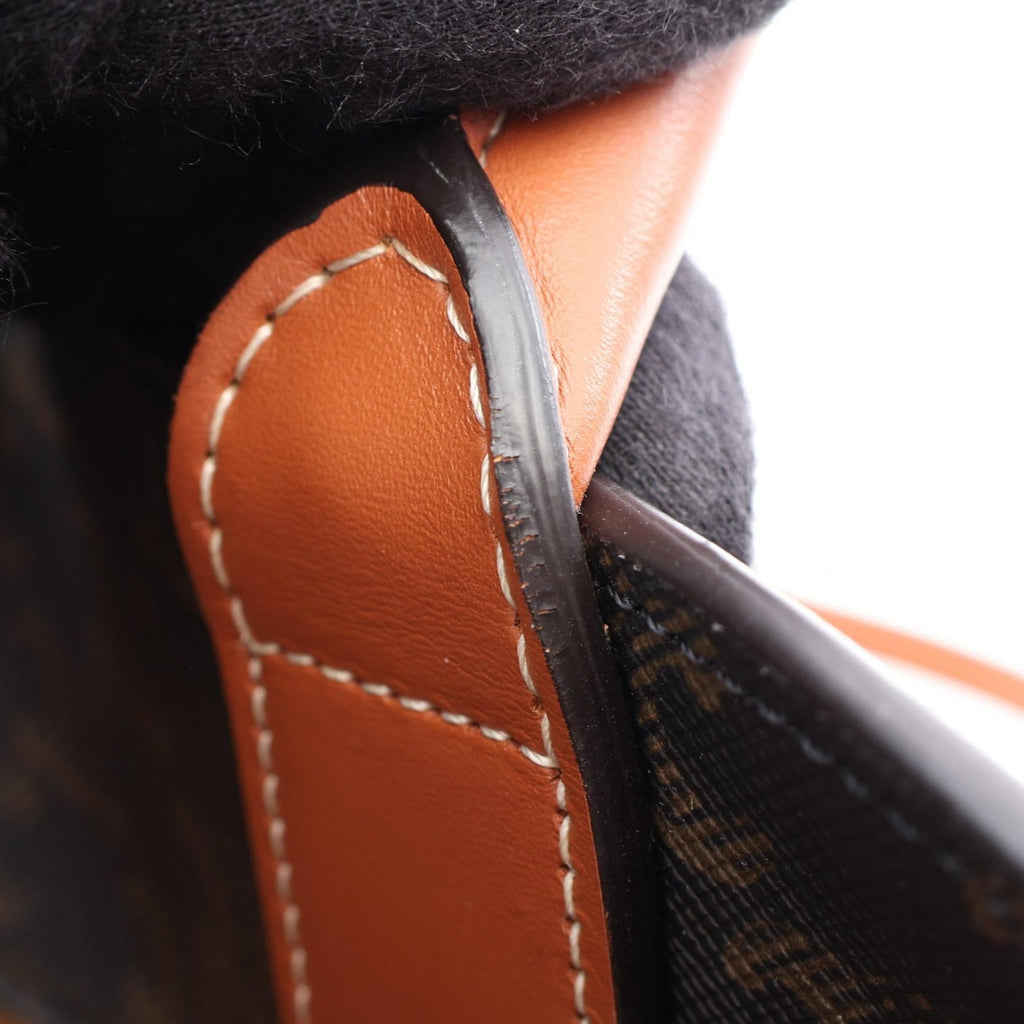 Celine Vertical Cabas · Triomphe Canvas