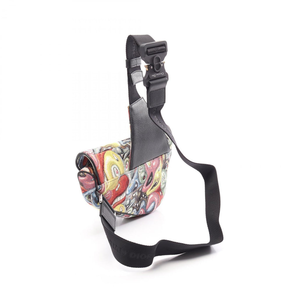 Dior Saddle · Kenny Scharf · Canvas