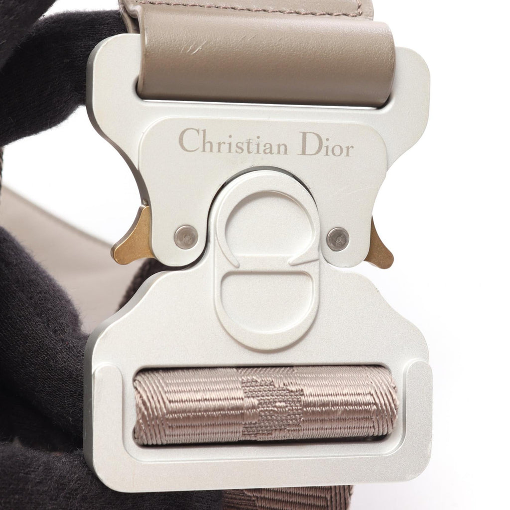 Dior Saddle · Oblique Perforated Belt Bag
