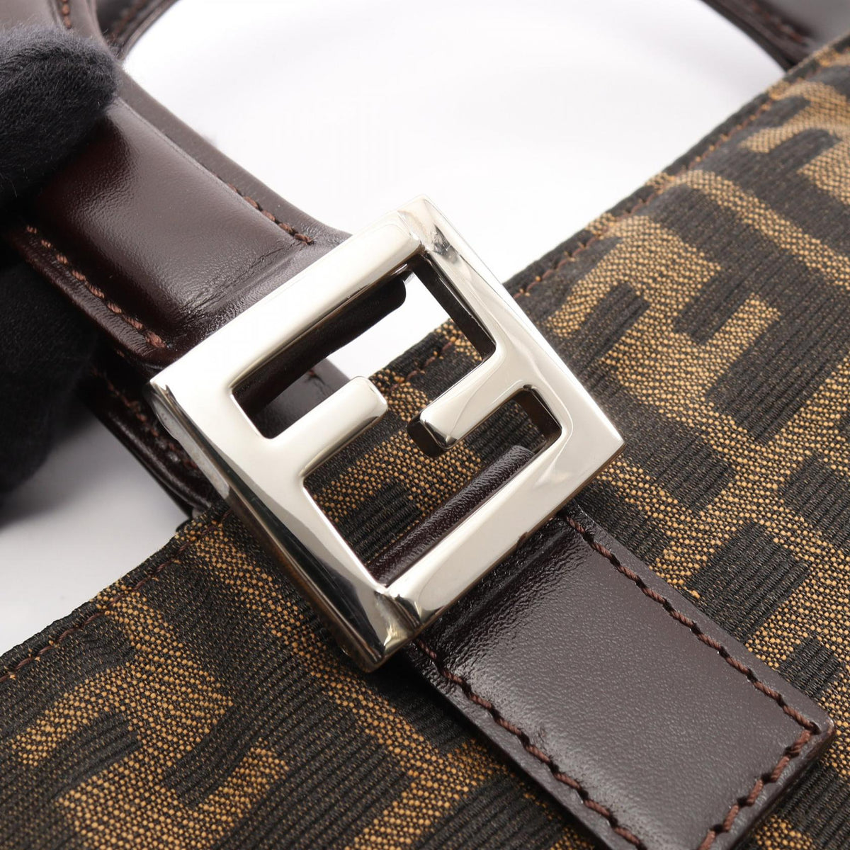 Fendi Zucca · Canvas & Leather