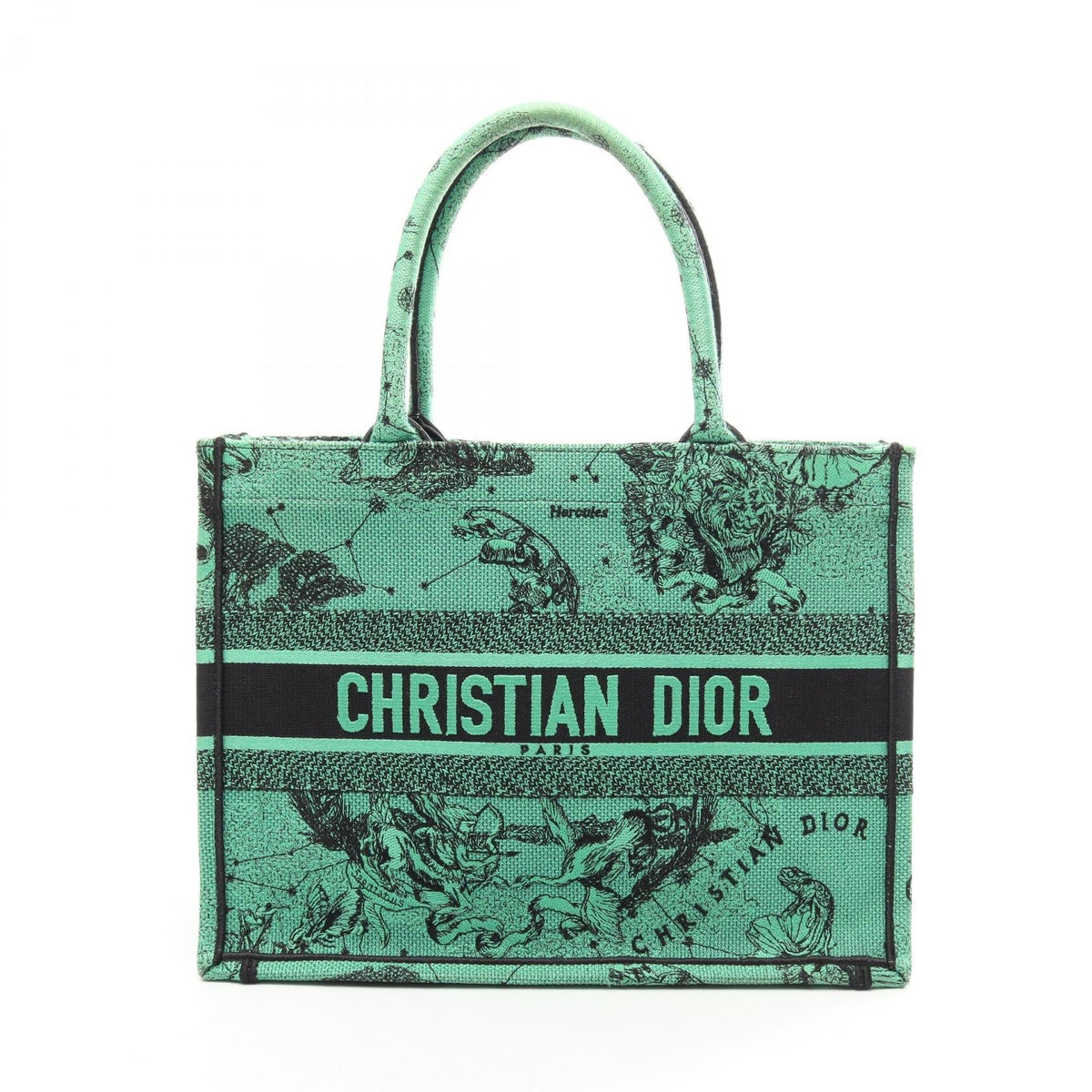 Dior Book Tote Medium · Logo Canvas