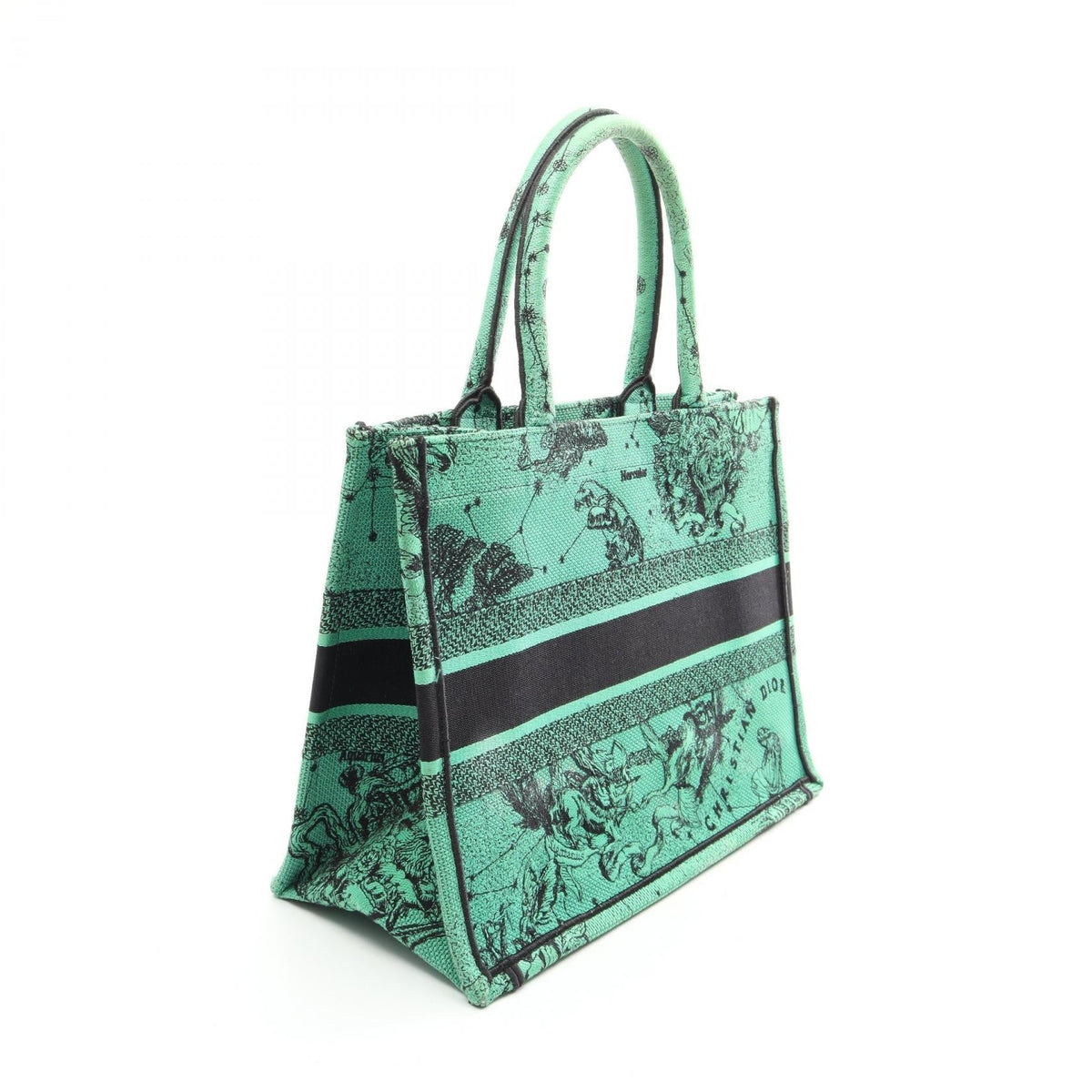 Dior Book Tote Medium · Logo Canvas