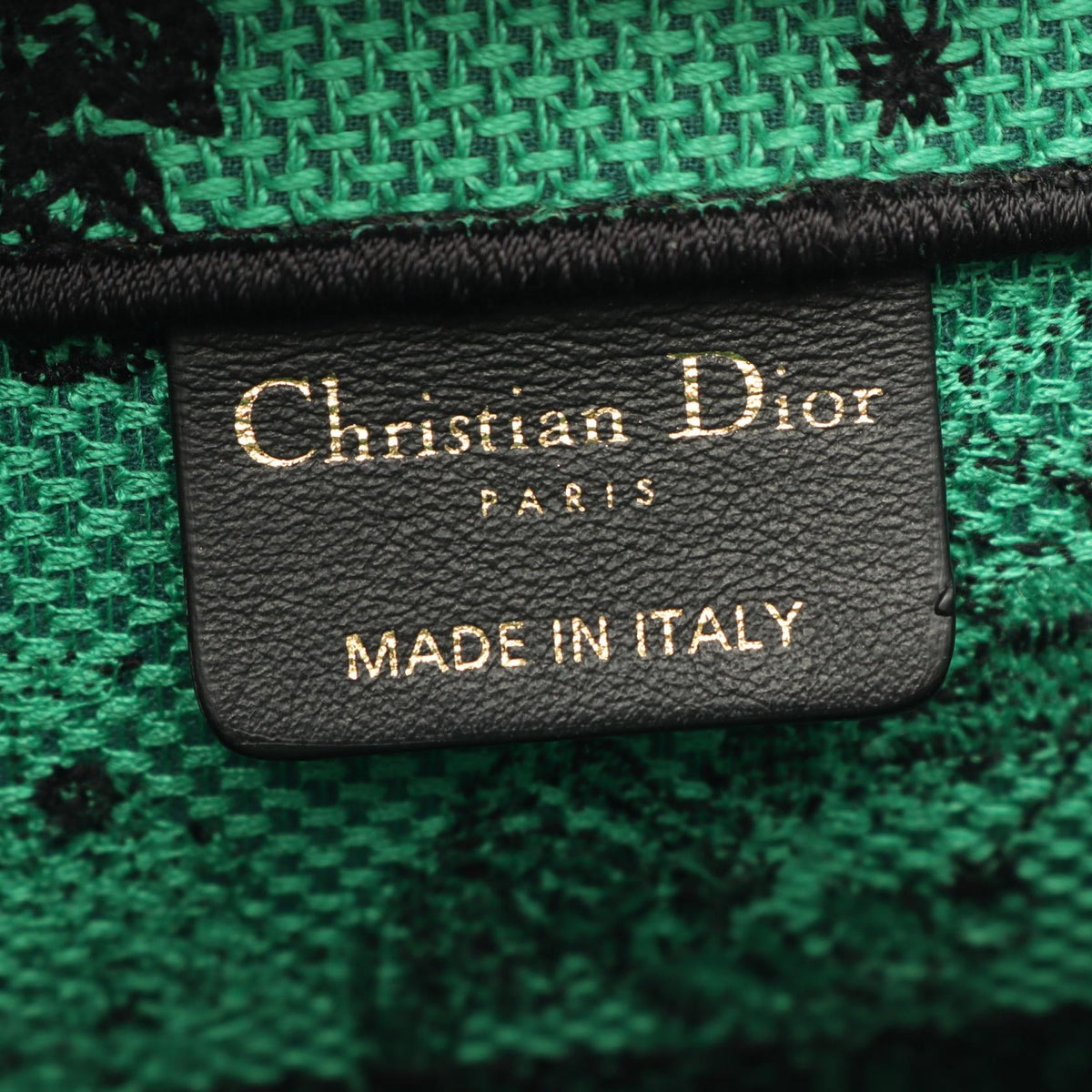 Dior Book Tote Medium · Logo Canvas