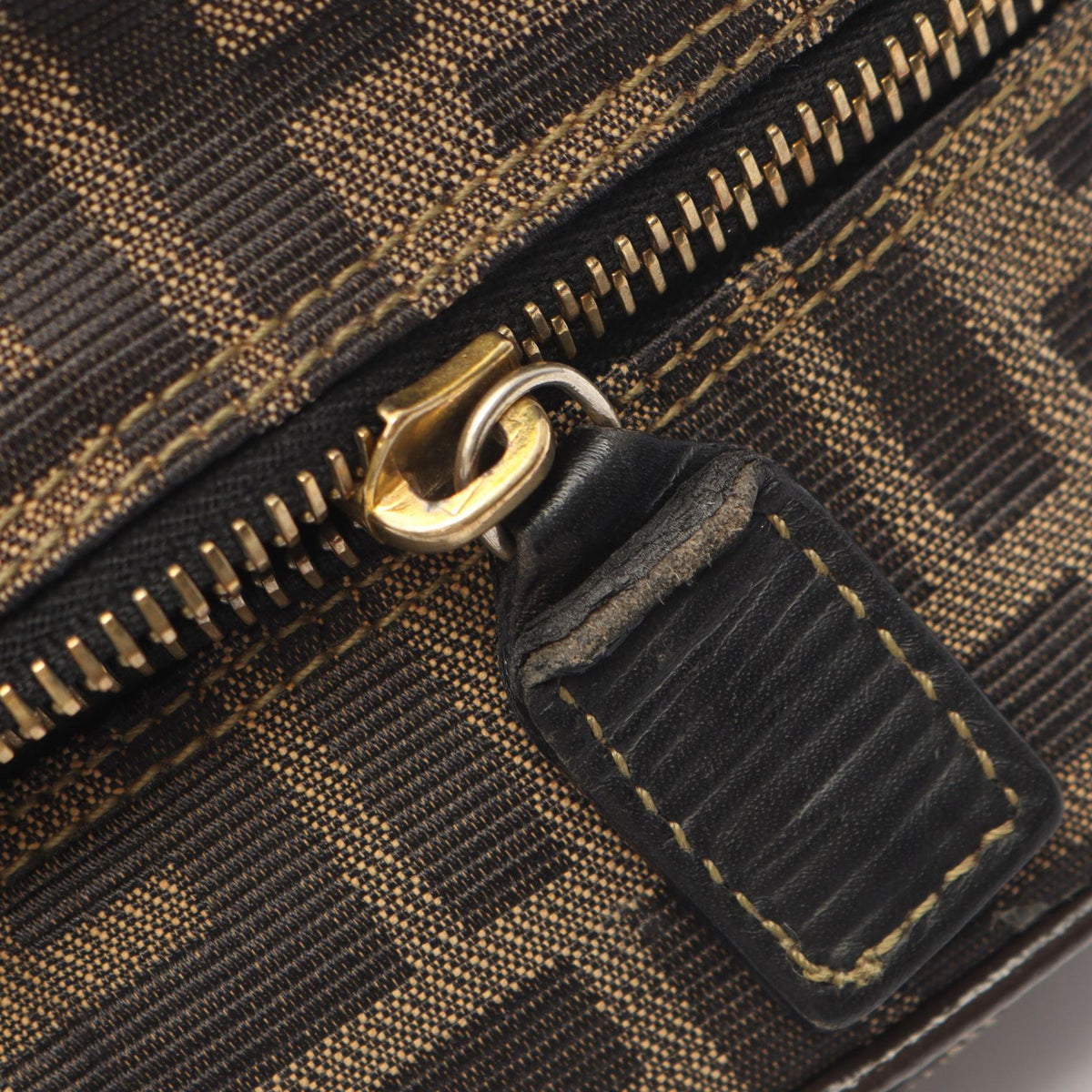 Fendi Zucca · Canvas