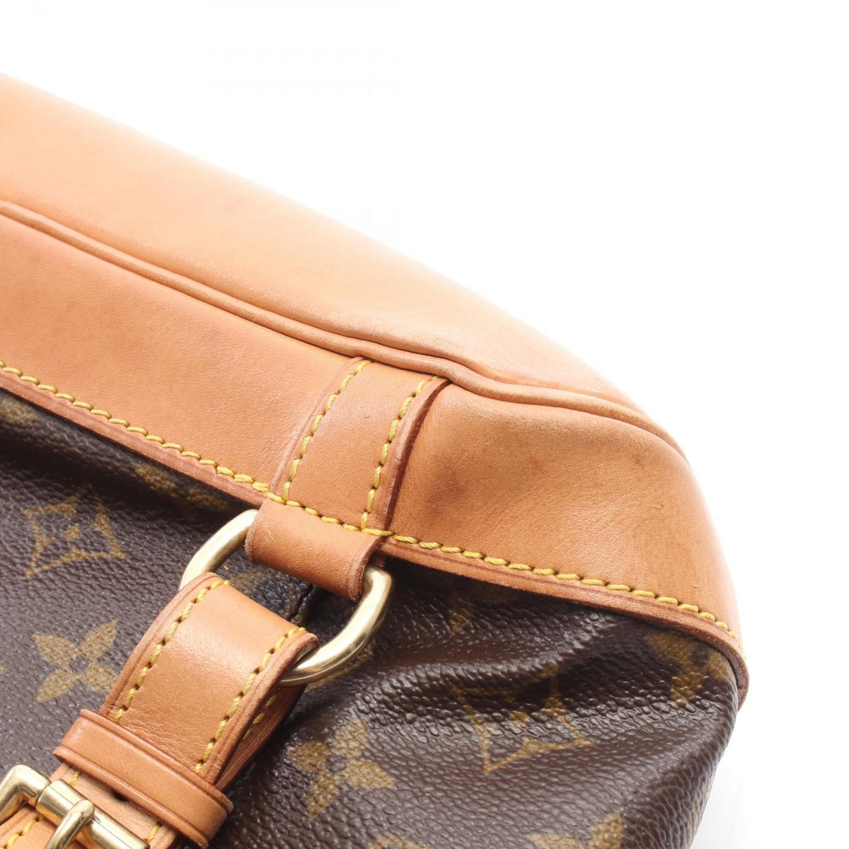 Louis Vuitton Montsouris MM · Monogram