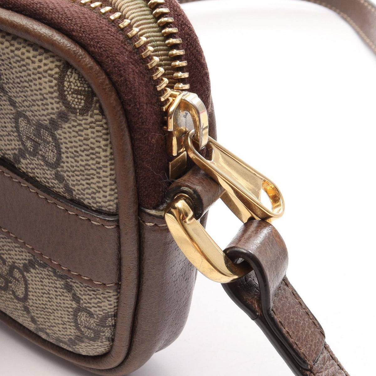 Gucci Ophidia · GG Supreme