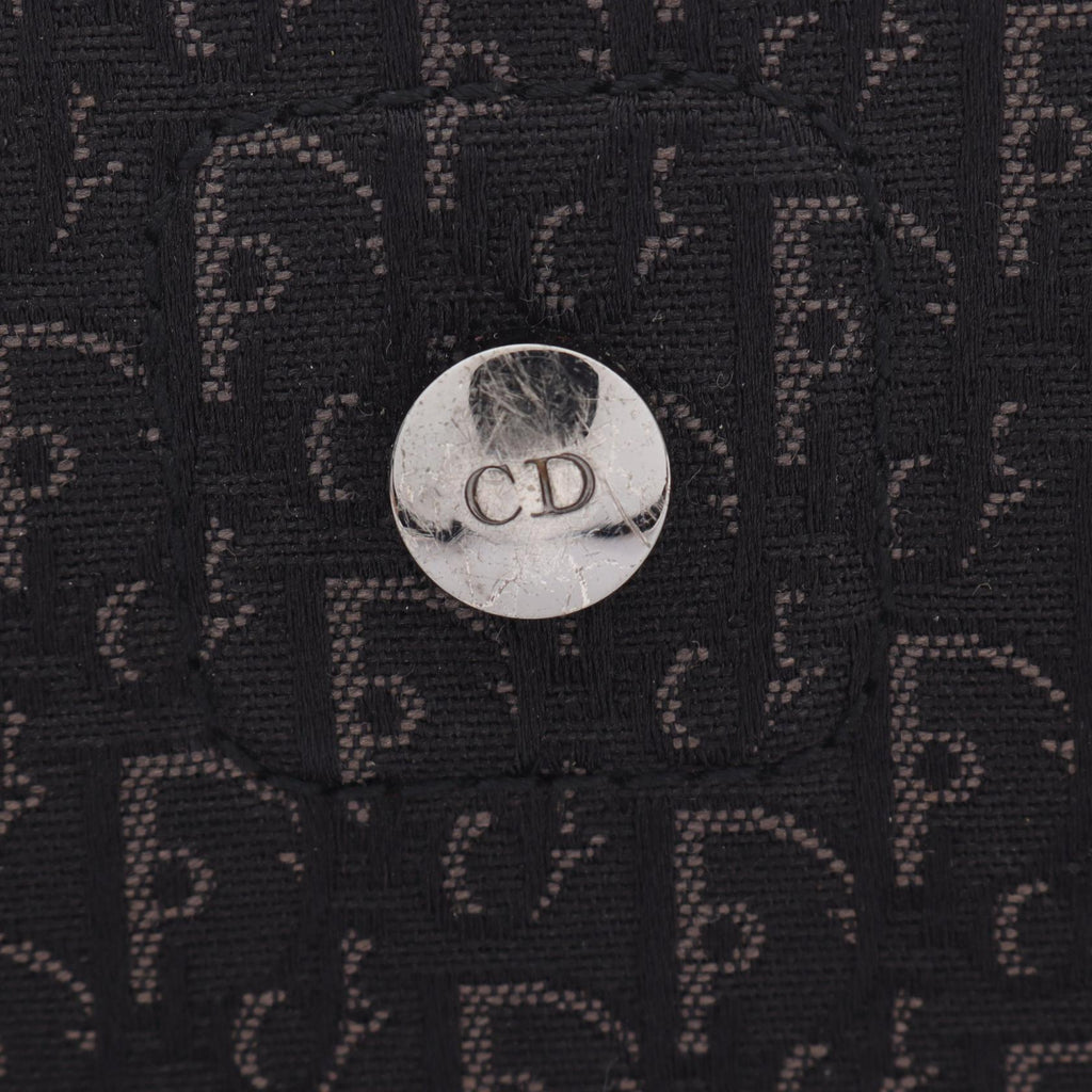 Dior Street Chic Trotter · Canvas Leather