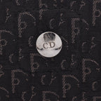 Dior Street Chic Trotter · Canvas Leather