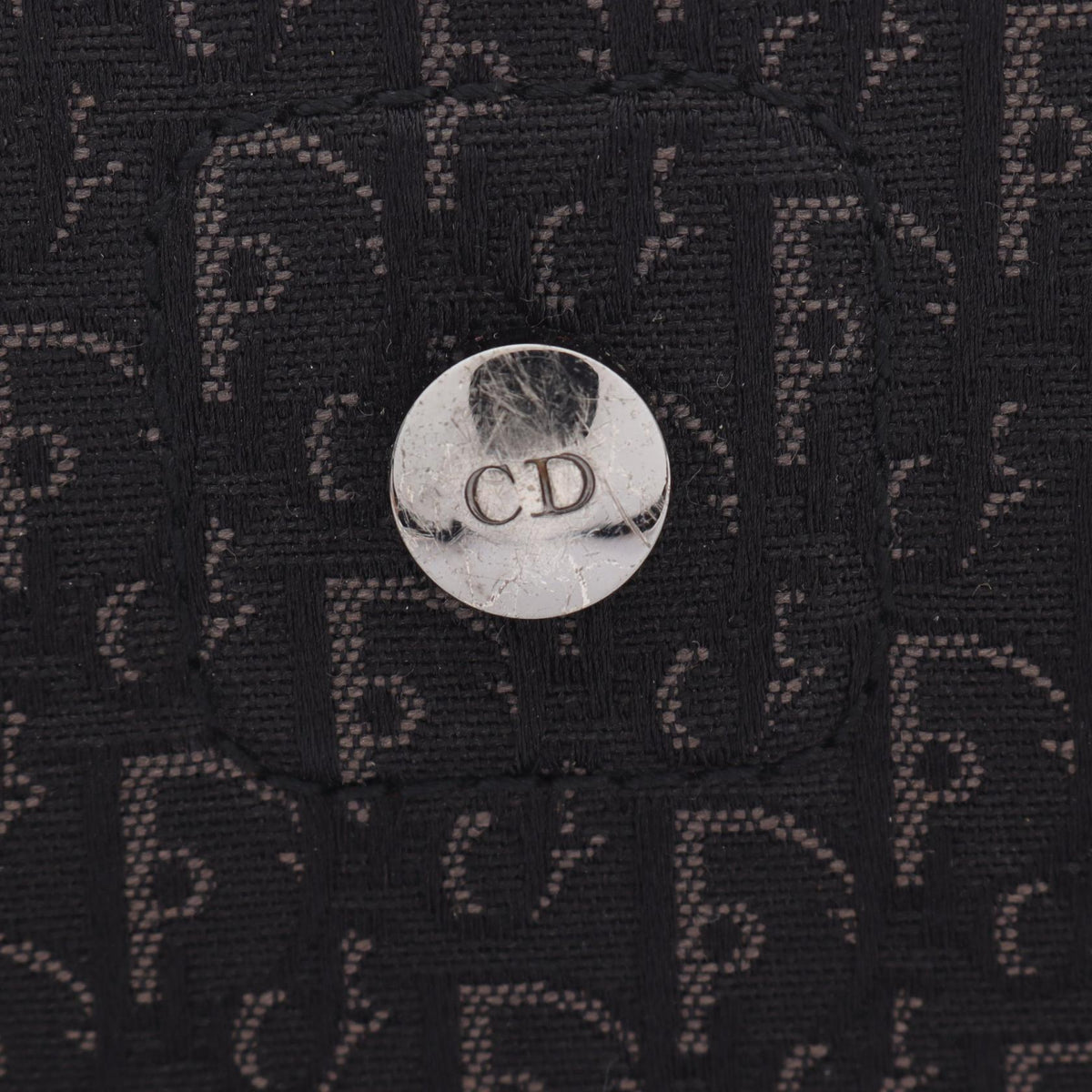 Dior Street Chic Trotter · Canvas Leather