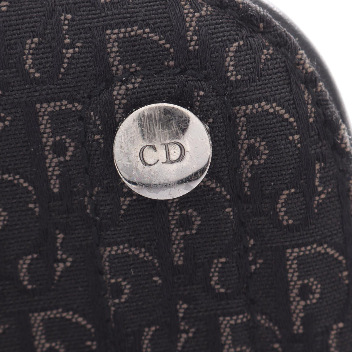 Dior Street Chic Trotter · Canvas Leather