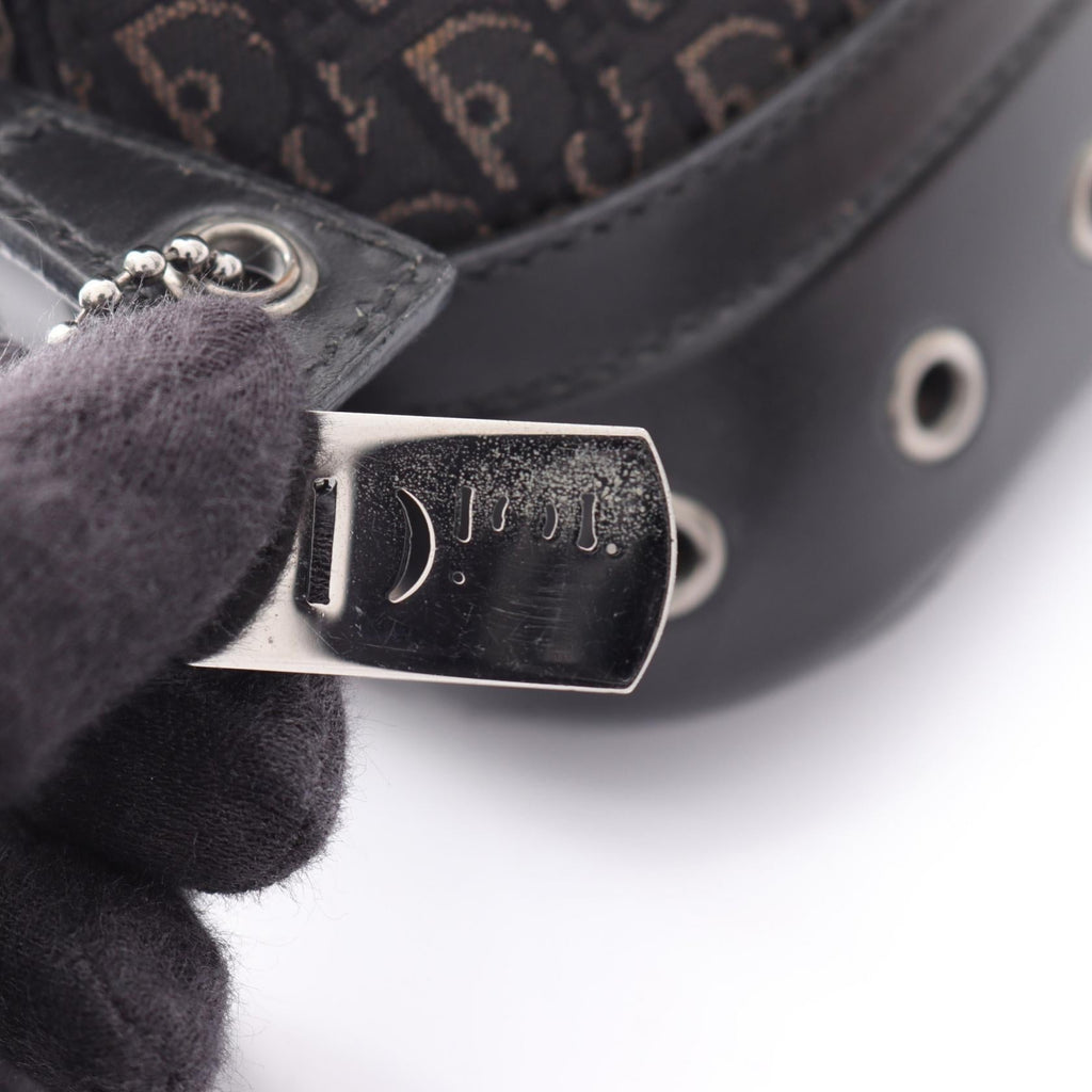 Dior Street Chic Trotter · Canvas Leather