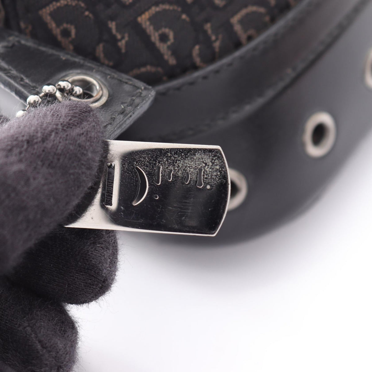 Dior Street Chic Trotter · Canvas Leather