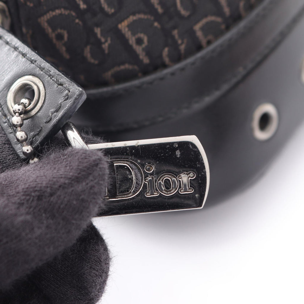 Dior Street Chic Trotter · Canvas Leather