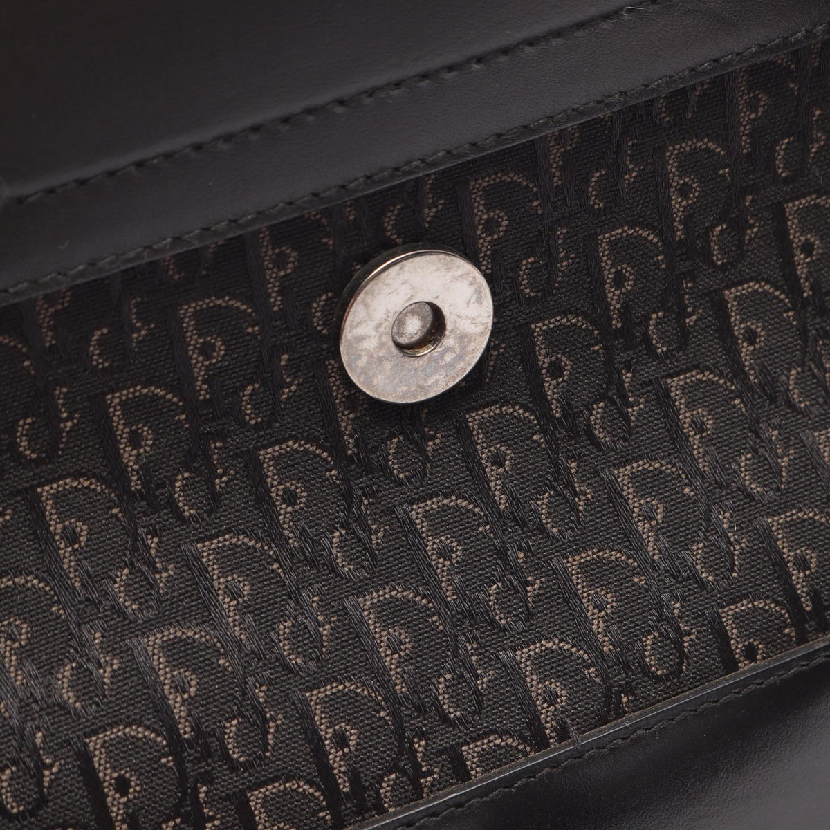 Dior Street Chic Trotter · Canvas Leather