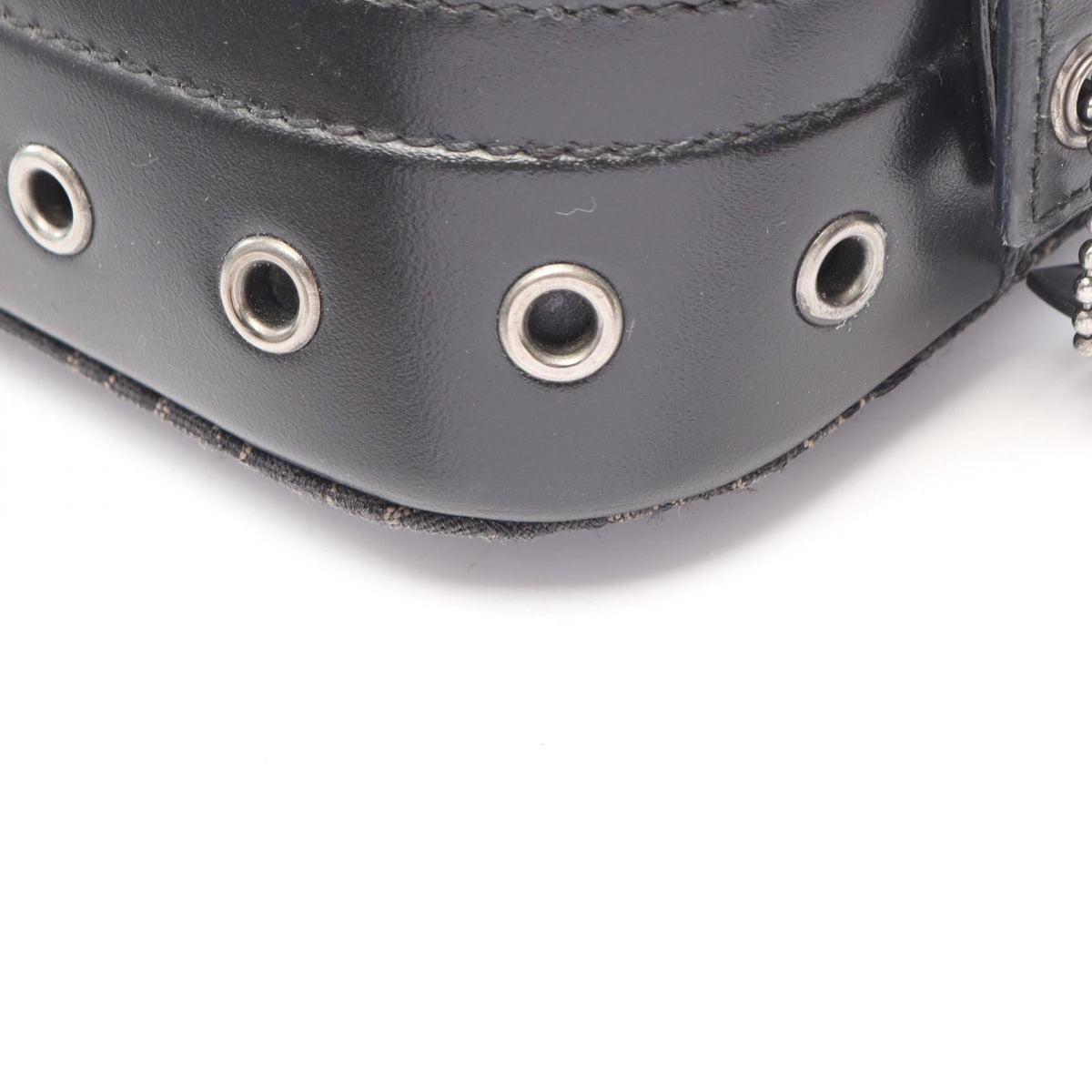 Dior Street Chic Trotter · Canvas Leather