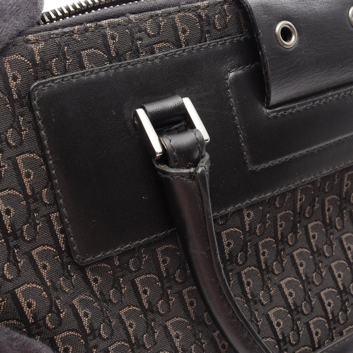 Dior Street Chic Trotter · Canvas Leather