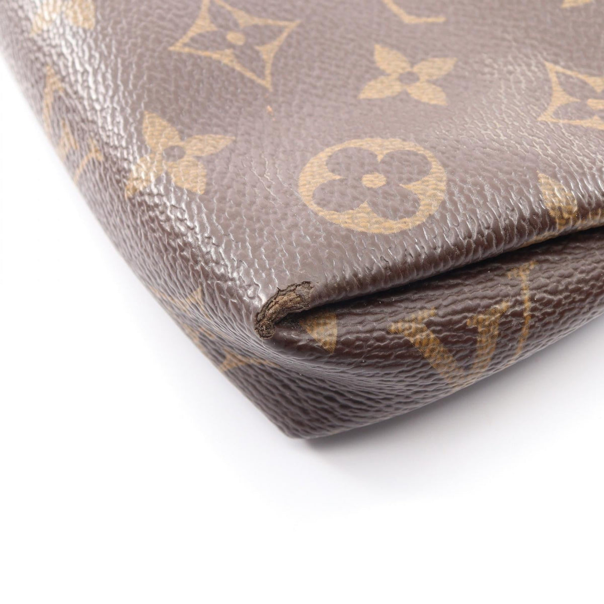 Louis Vuitton Paras · Monogram Canvas
