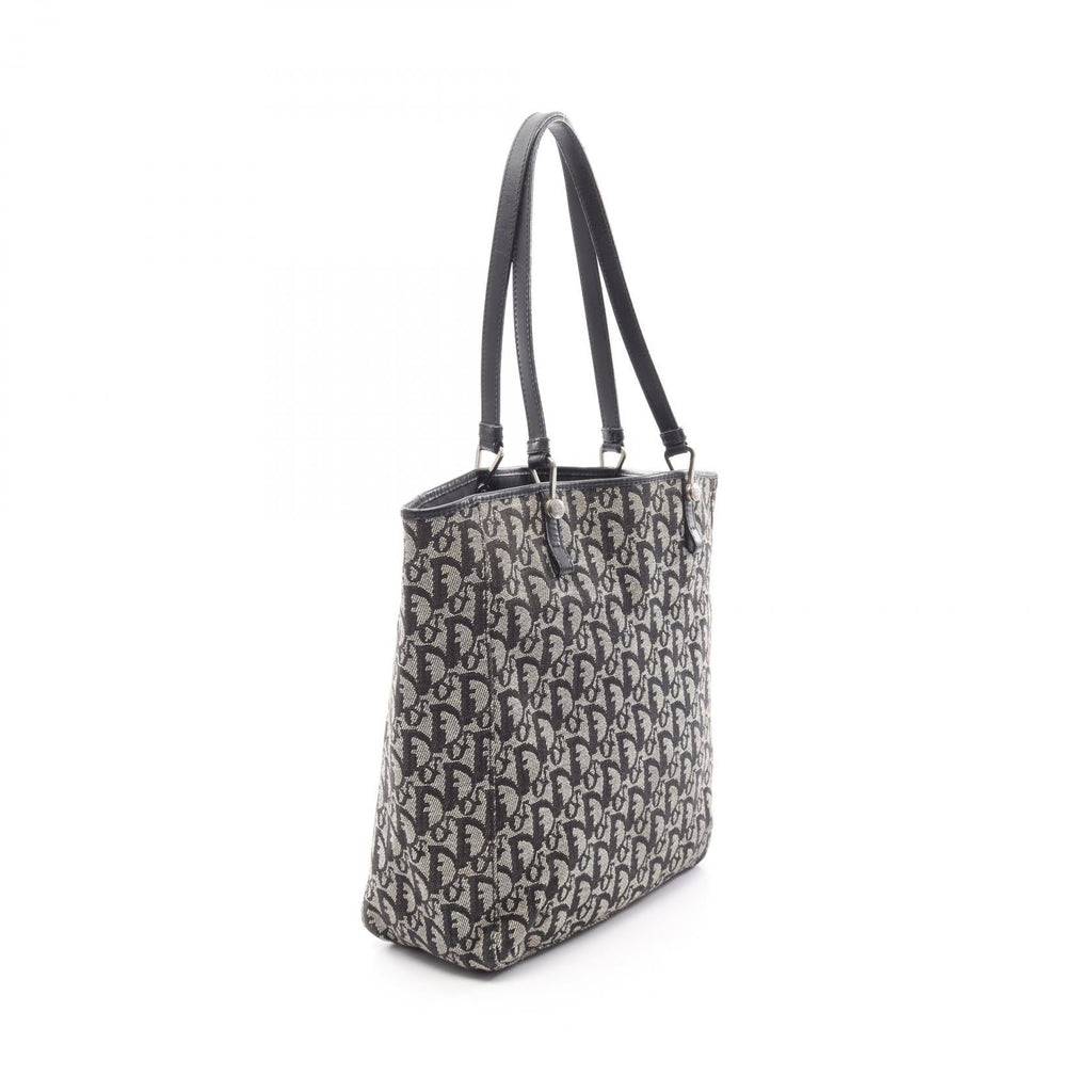 Dior Trotter · Canvas Tote