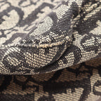 Dior Trotter · Canvas Tote