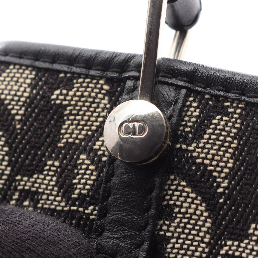 Dior Trotter · Canvas Tote