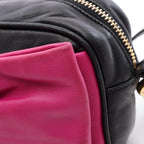 Prada · Leather Crossbody · Gold Hardware