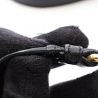 Prada · Leather Crossbody · Gold Hardware