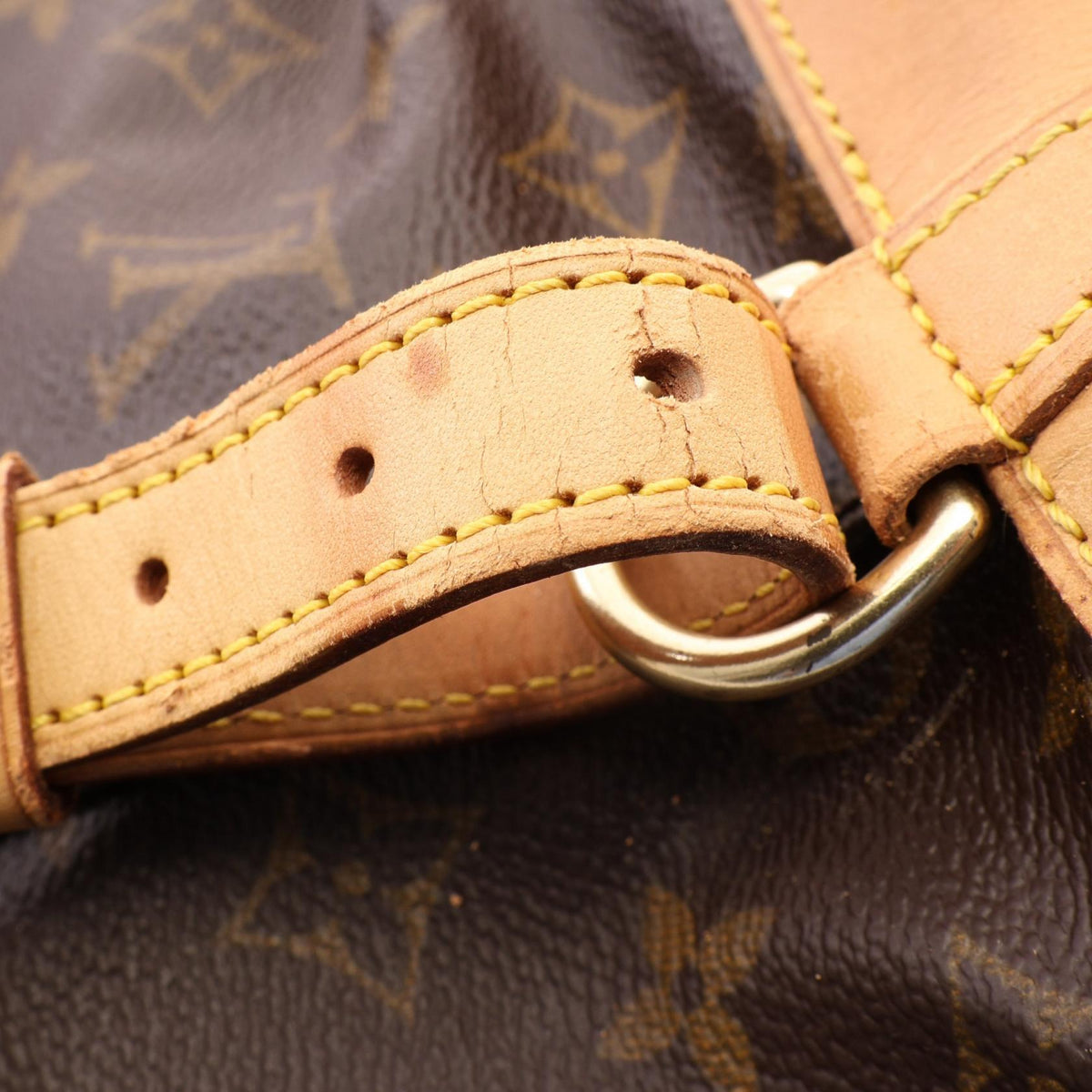 Louis Vuitton Montsouris MM · Monogram