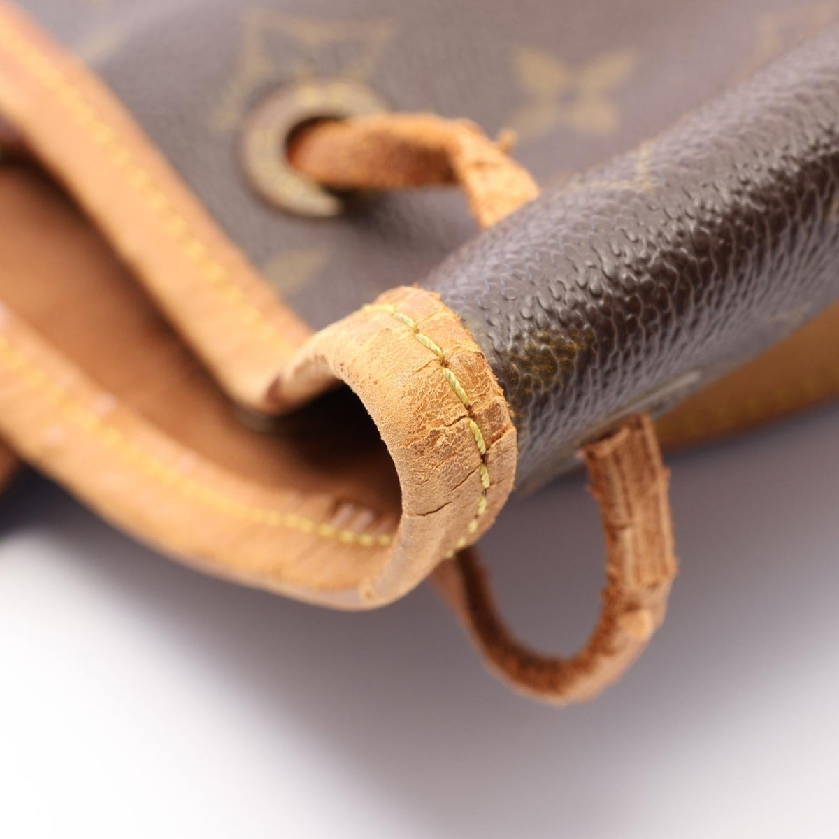 Louis Vuitton Montsouris MM · Monogram
