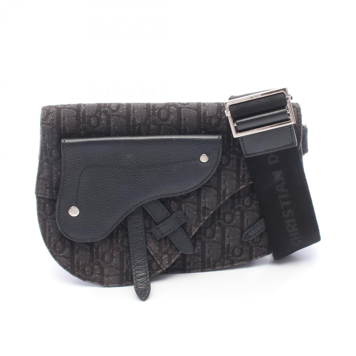 Dior Saddle · Oblique Canvas