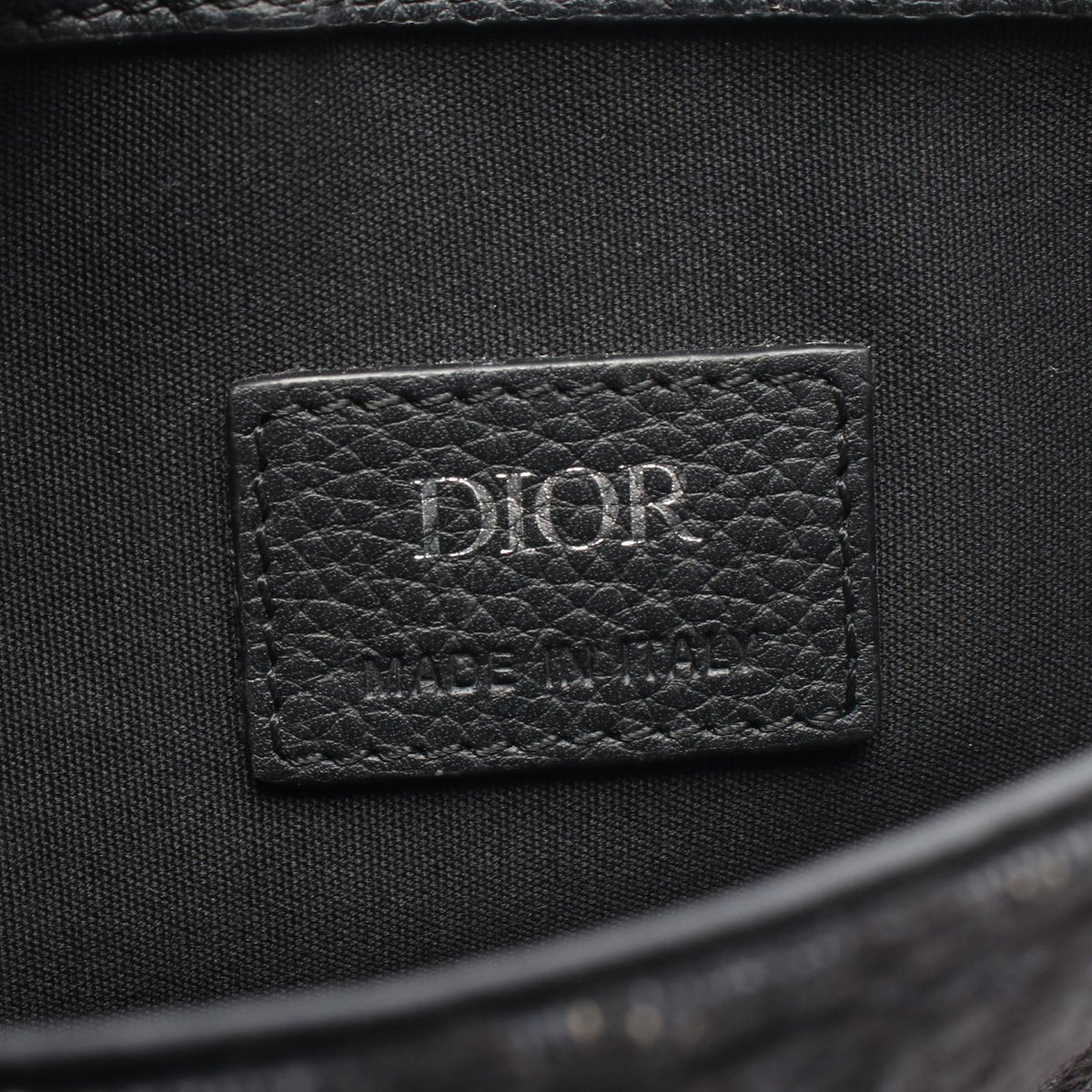 Dior Saddle · Oblique Canvas