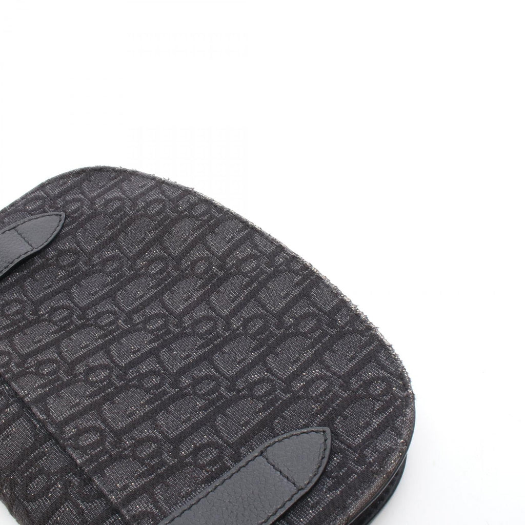 Dior Saddle · Oblique Canvas