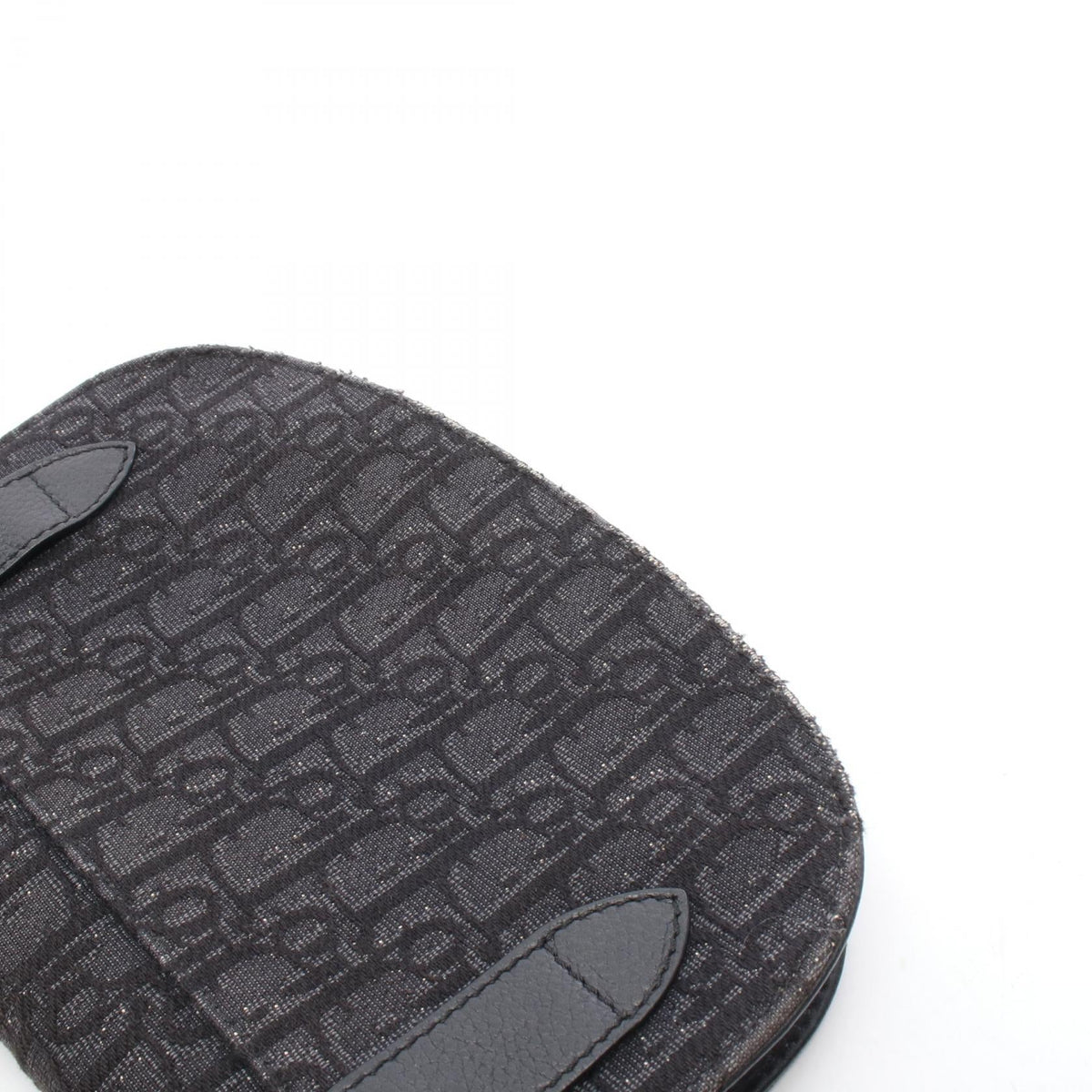 Dior Saddle · Oblique Canvas