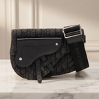 Dior Saddle · Oblique Canvas