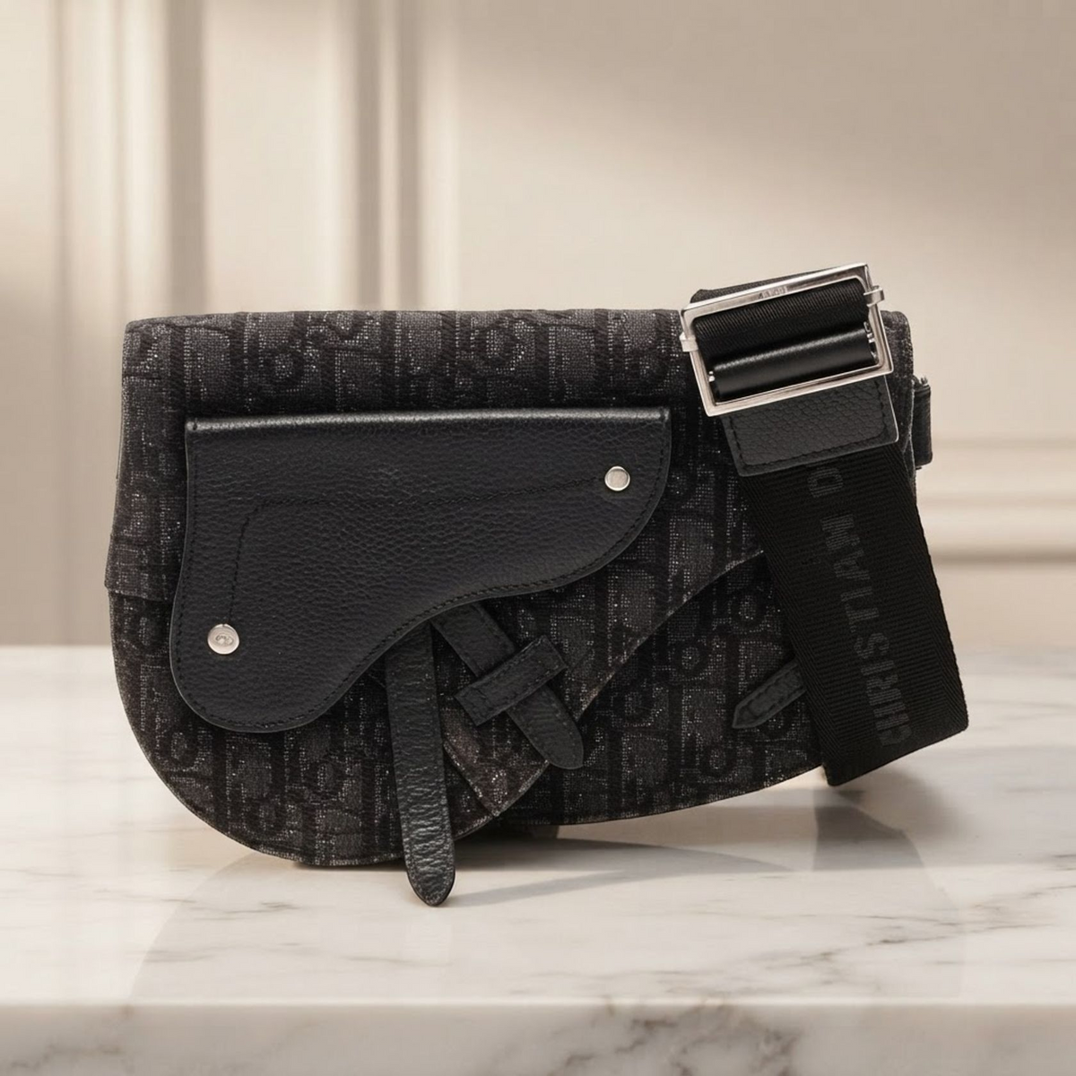 Dior Saddle · Oblique Canvas