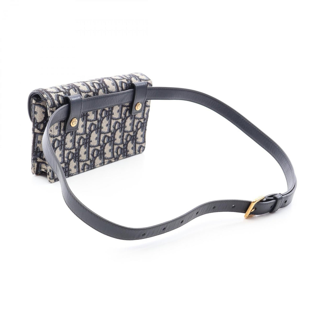 Dior Saddle · Oblique · Belt Bag