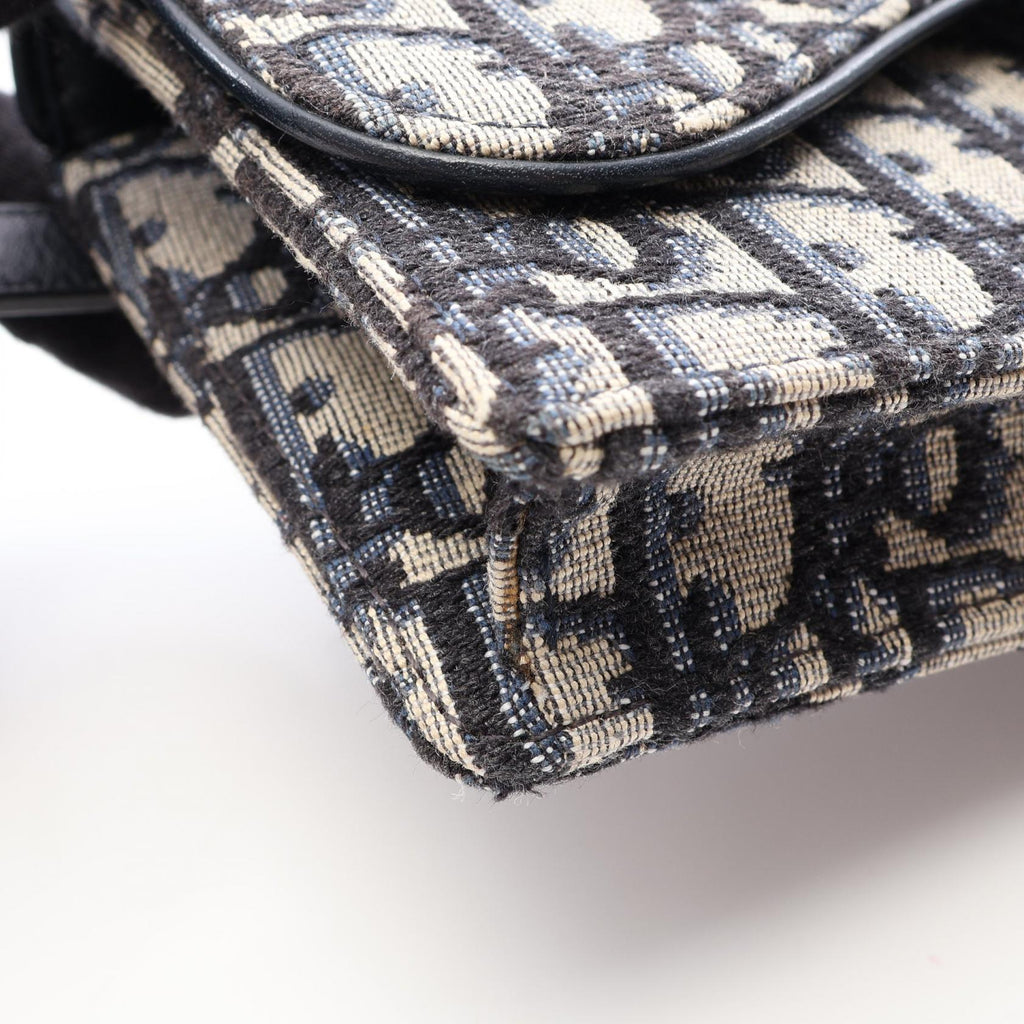 Dior Saddle · Oblique · Belt Bag