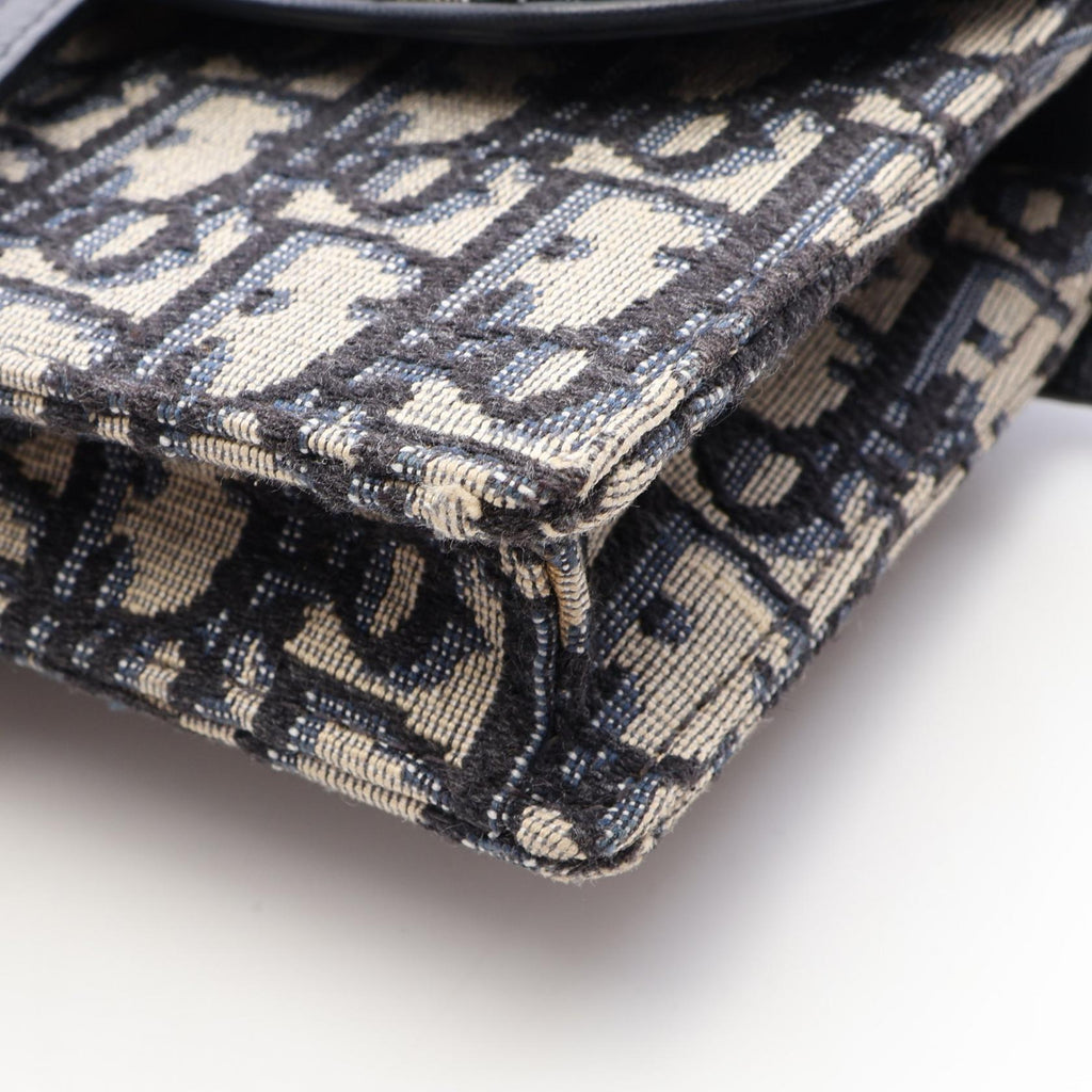 Dior Saddle · Oblique · Belt Bag