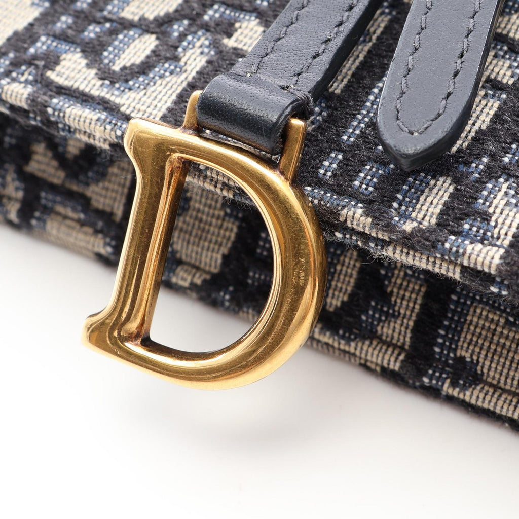 Dior Saddle · Oblique · Belt Bag