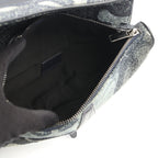Dior Peter Doig Saddle · Canvas Belt Bag