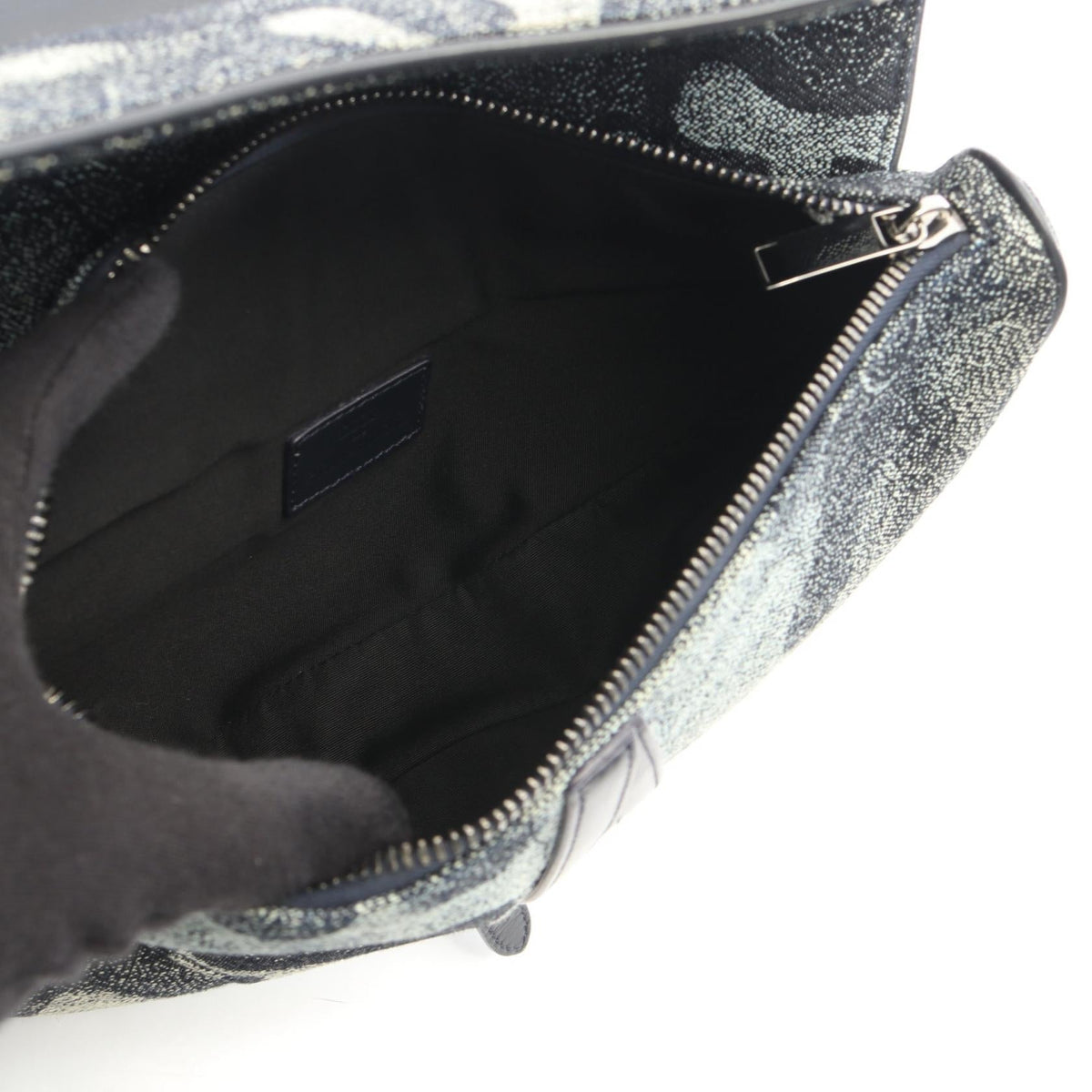 Dior Peter Doig Saddle · Canvas Belt Bag