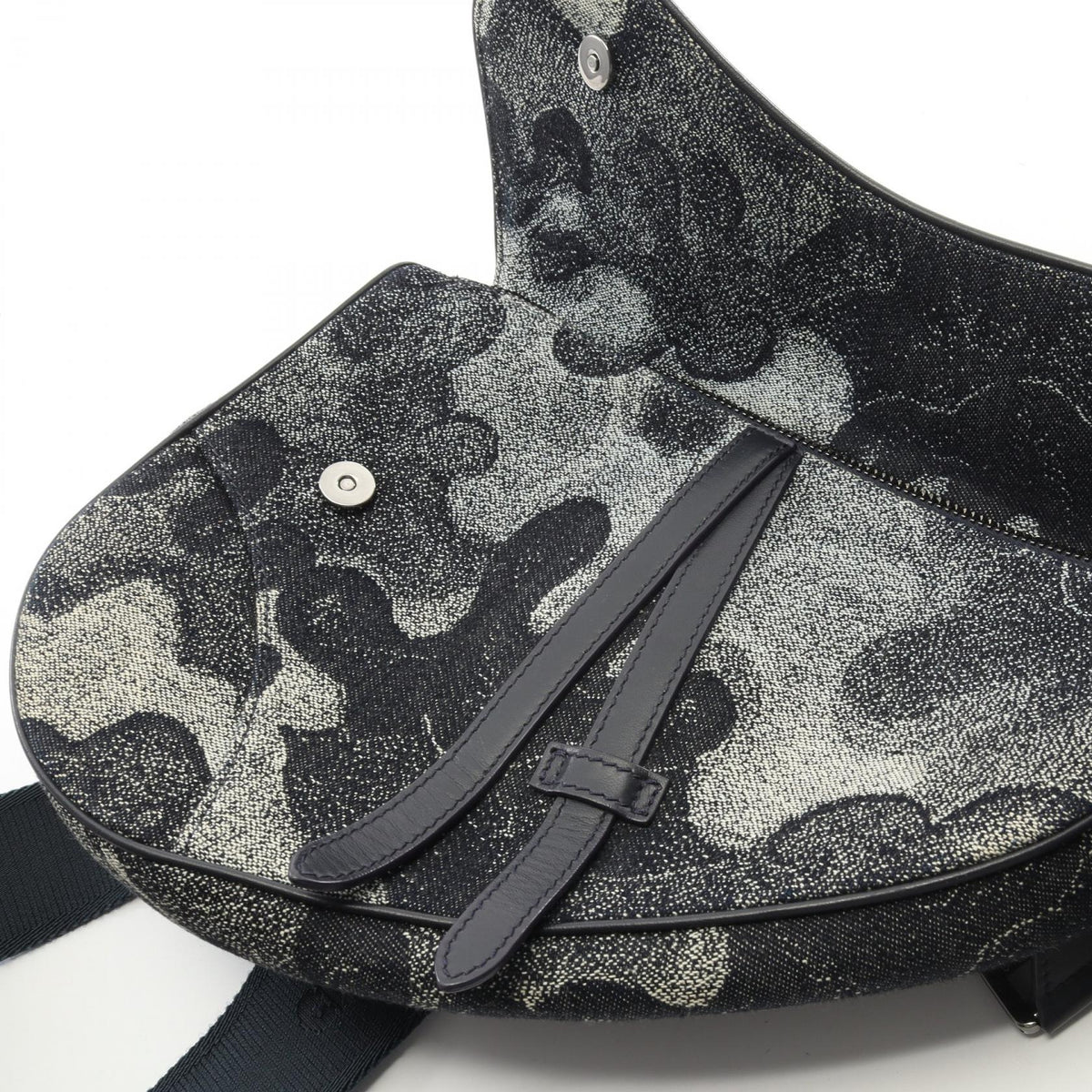Dior Peter Doig Saddle · Canvas Belt Bag
