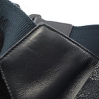 Dior Peter Doig Saddle · Canvas Belt Bag