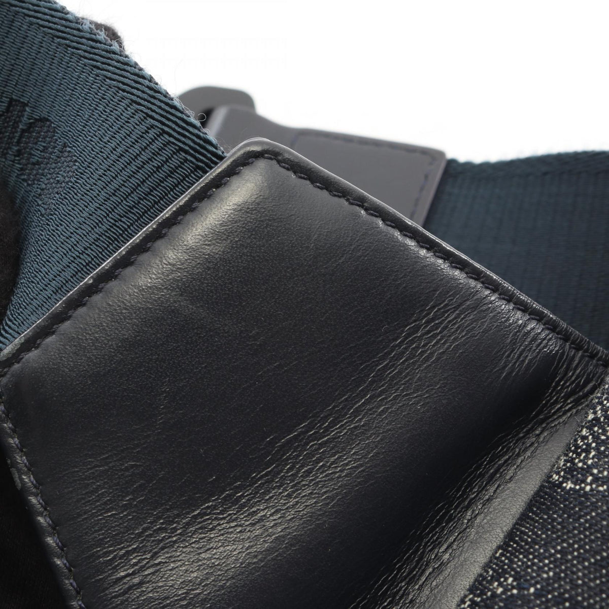 Dior Peter Doig Saddle · Canvas Belt Bag