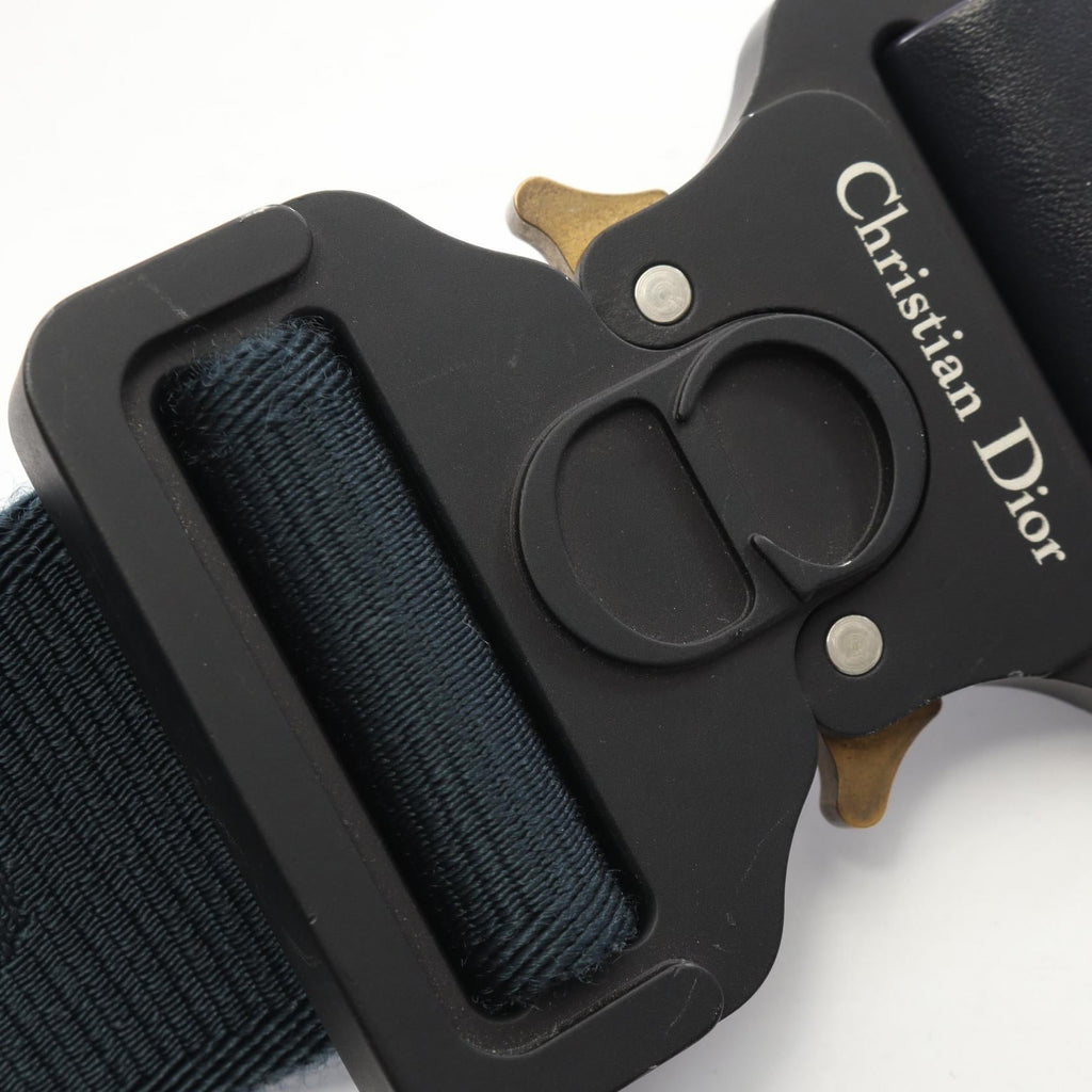 Dior Peter Doig Saddle · Canvas Belt Bag