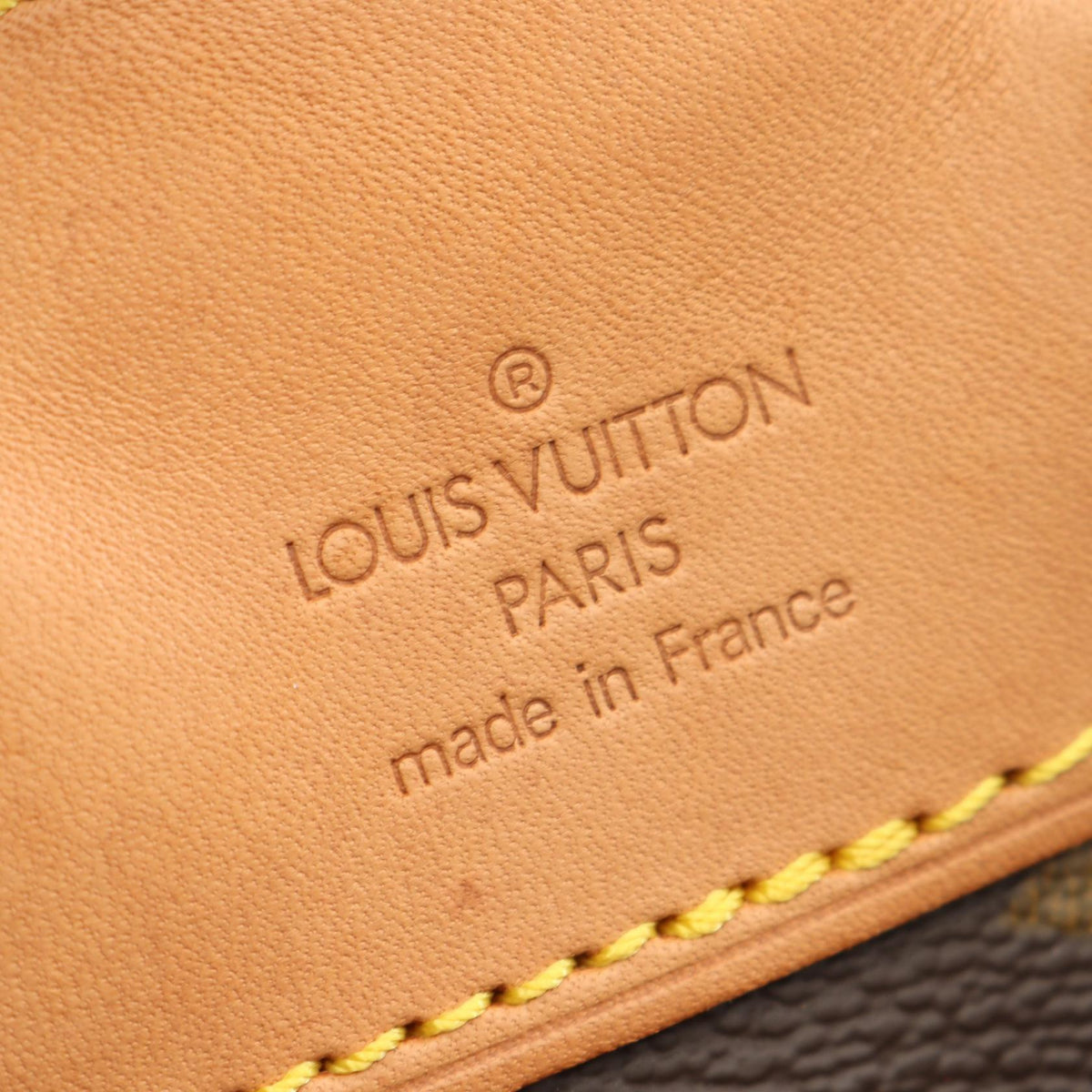 Louis Vuitton Montsouris MM · Monogram