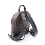 Louis Vuitton Palm Springs PM · Monogram