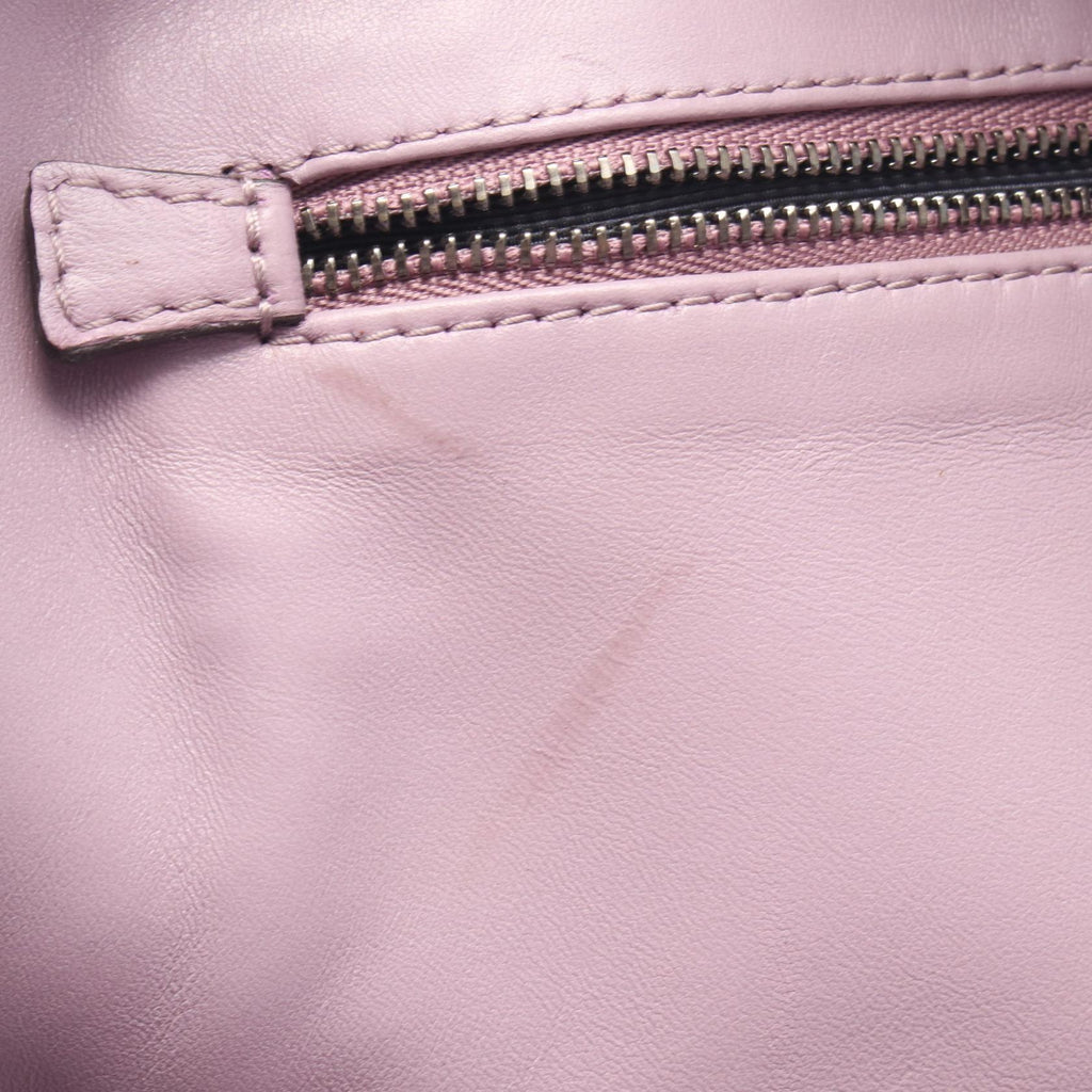 Loewe Amazona 36 · Leather